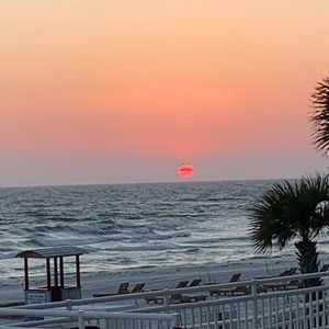 Meet your Posher, Liam